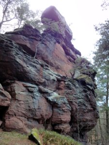  Hoher Kopf - Vorgipfel 