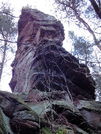  Dimbacher Falkenstein 